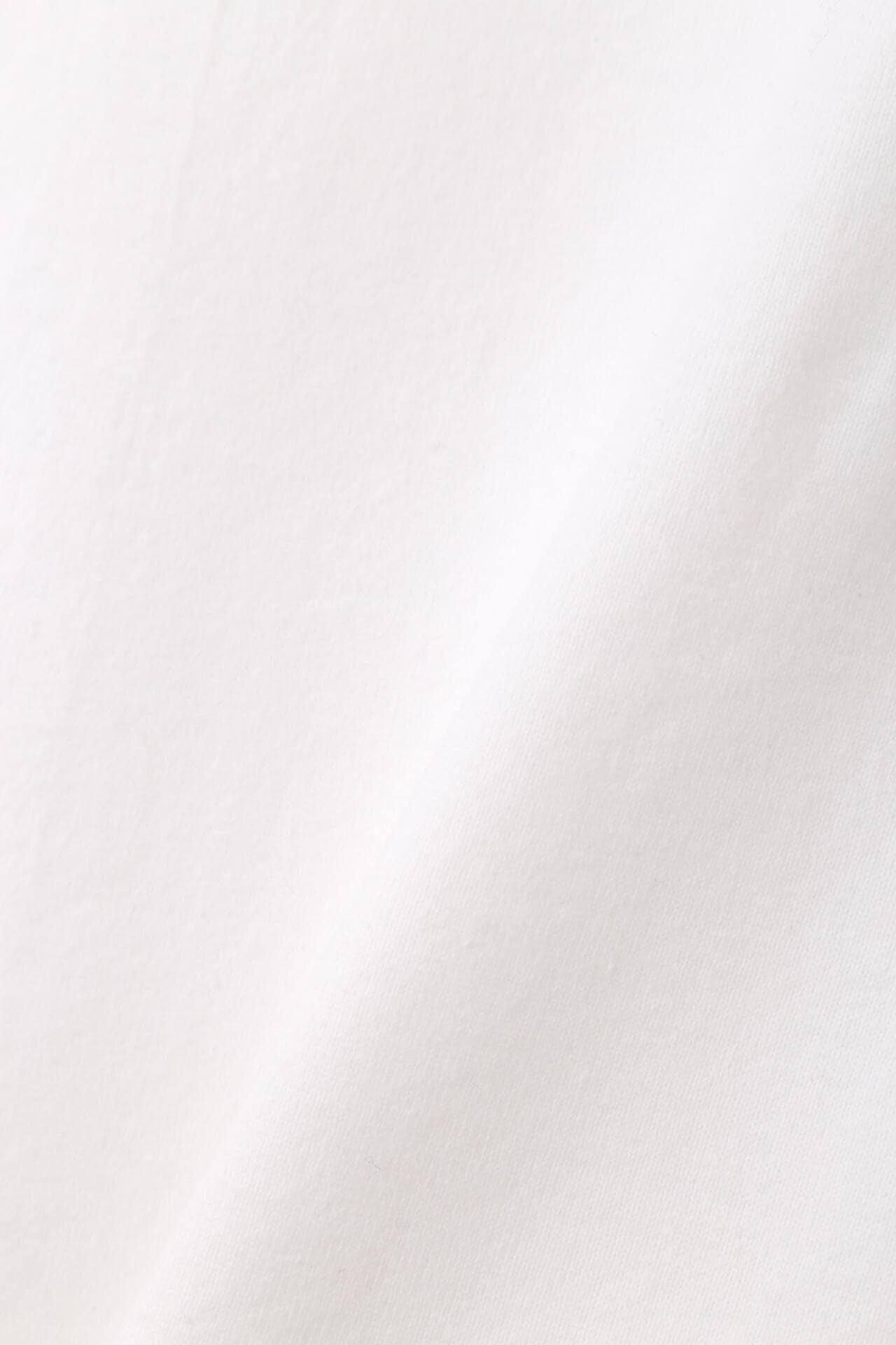 40/2天竺·照片T恤