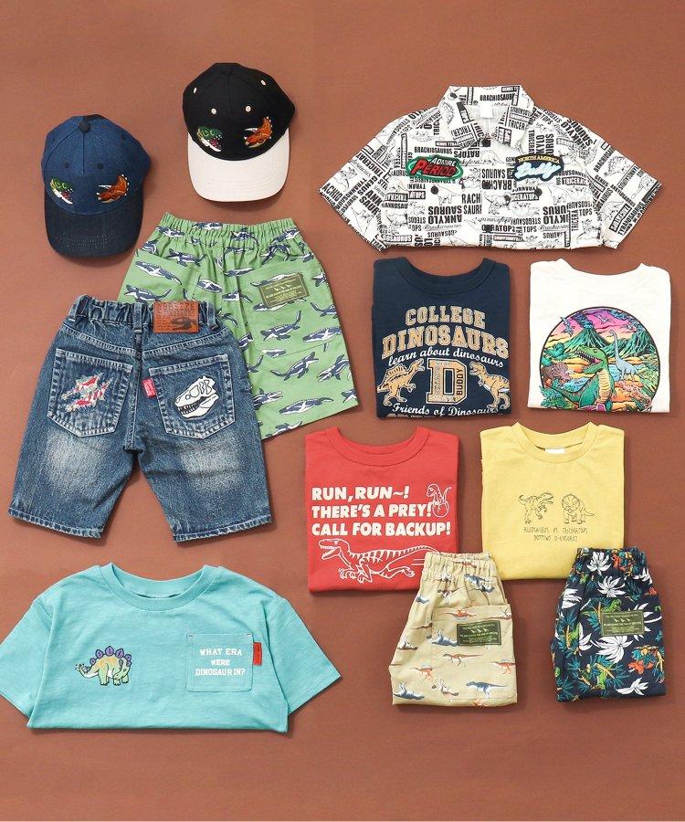 福井縣立恐龍博物館聯名白堊紀恐龍T恤