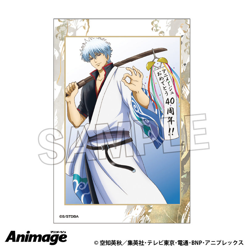 《銀魂》積木積木積木 7