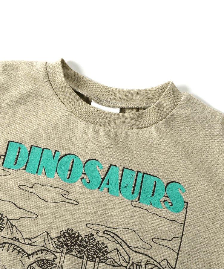 福井縣立恐龍博物館聯名紀念T恤兒童