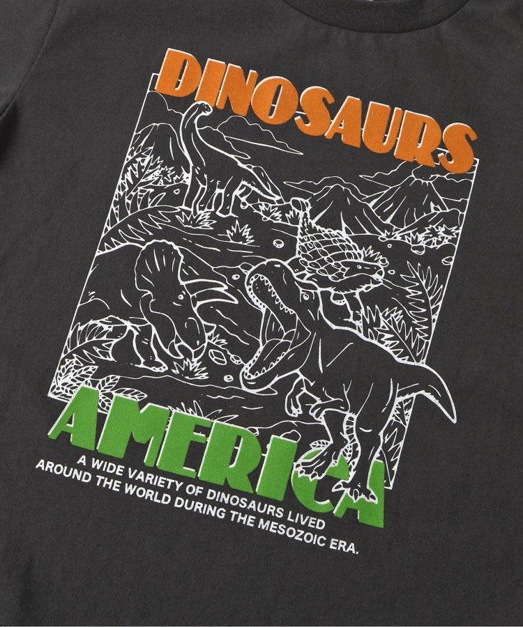 福井縣立恐龍博物館聯名紀念T恤兒童