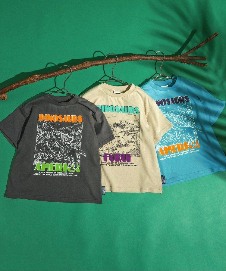 福井縣立恐龍博物館聯名紀念T恤兒童