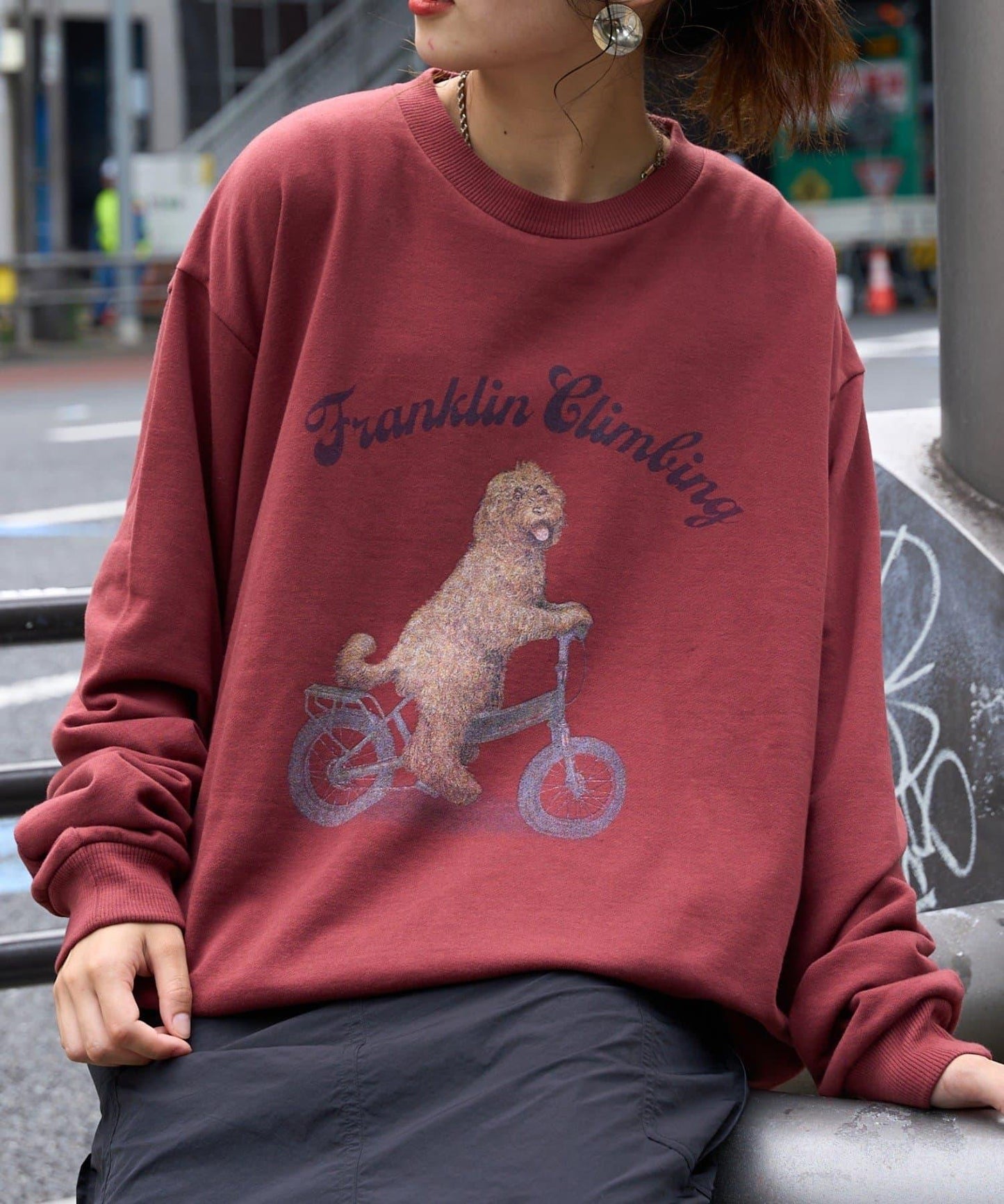 【Franklin Climbing】拉布拉多犬&電動自行車圖案衛衣