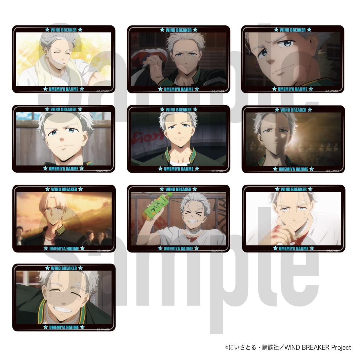 《防風少年》_交易精選胸章罐收藏 梅宮版 全10種 【全套裝盒/10個裝】