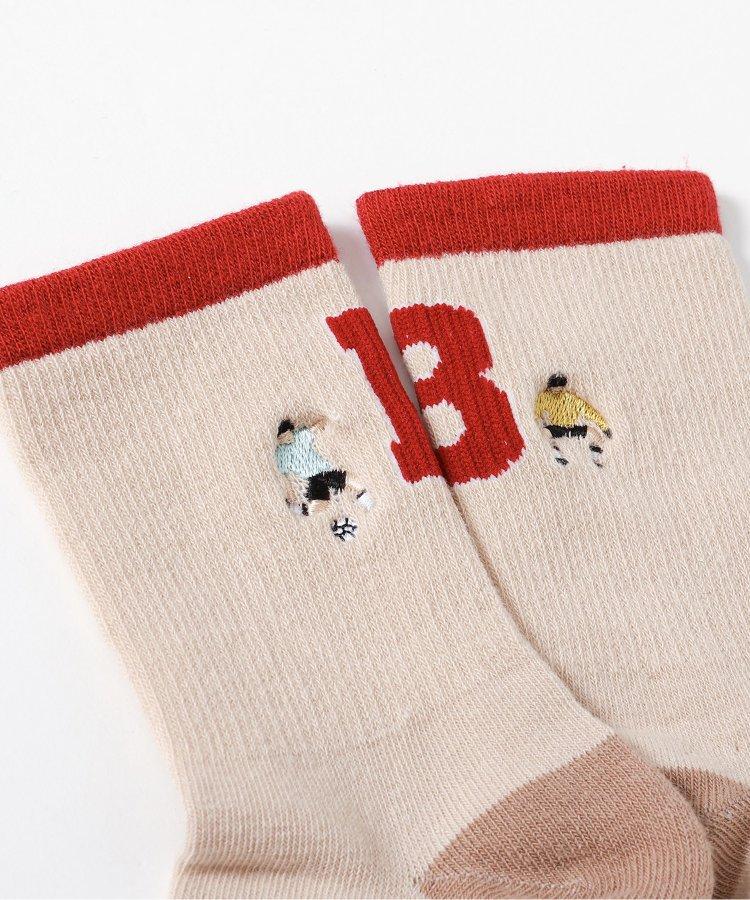 3P套裝 4款混搭襪子