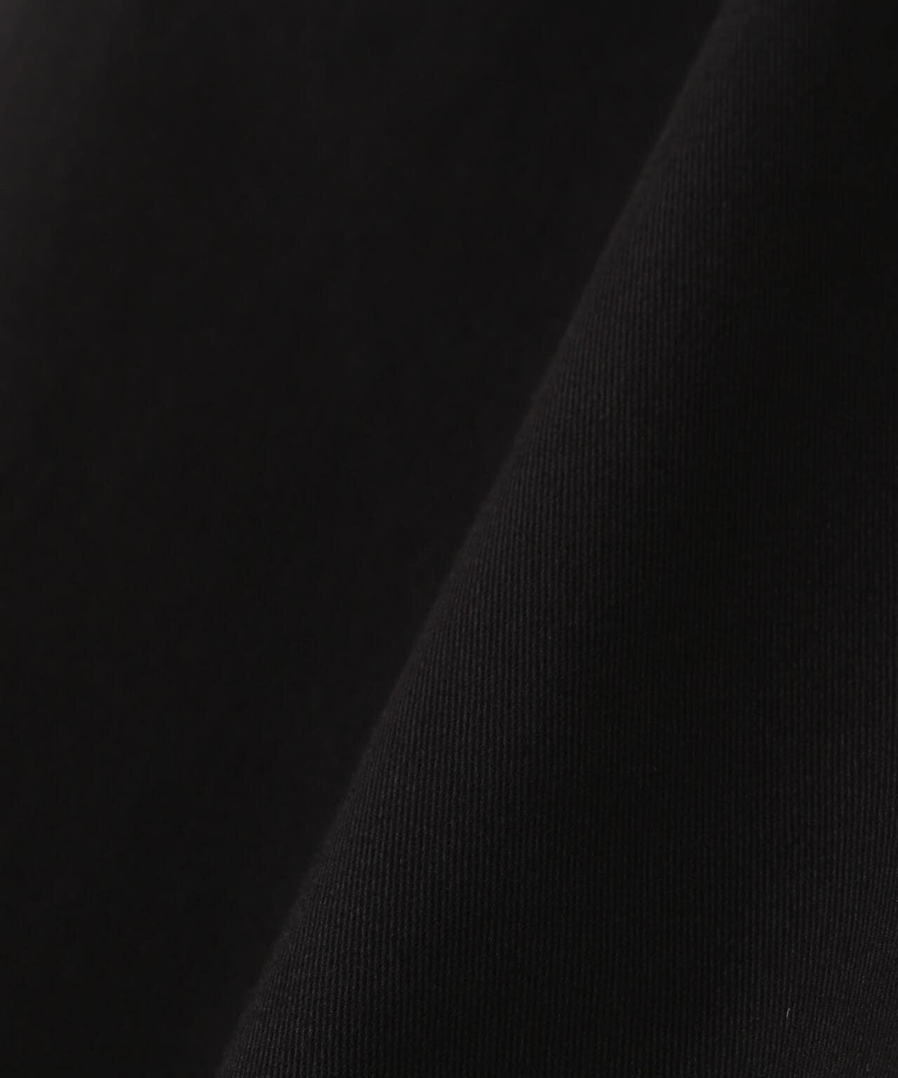 TWO TACK PANTS / 雙褶褲 / AVIREX / 阿維雷克斯