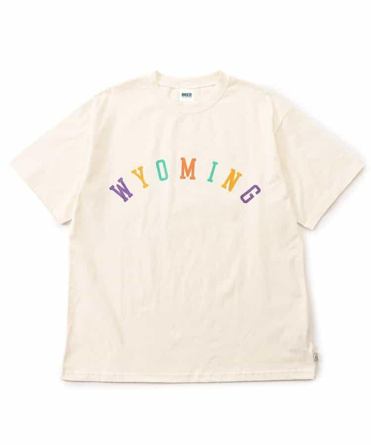 【鏈接】Logo刺繡T恤(成人)