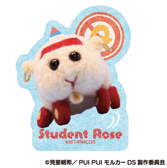 《PUI PUI 天竺鼠車車》 DRIVING SCHOOL_剪貼式迷你車貼 ⑥教練玫瑰