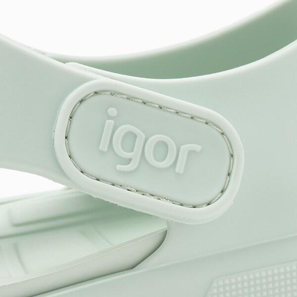 igor SURFI