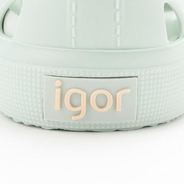 igor SURFI