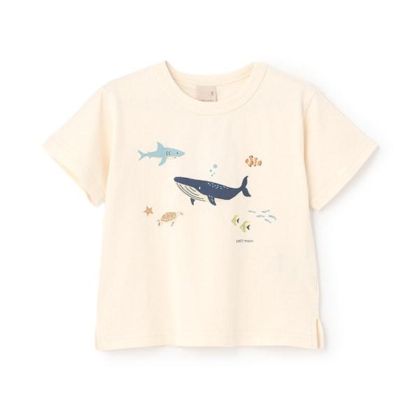 【プティプラ】男童短袖T恤