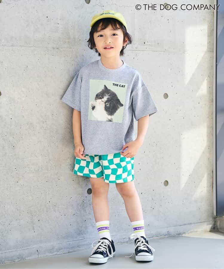 3つセットラインソックス