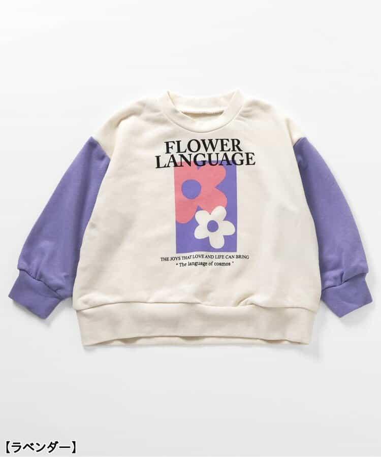 多款式毛圈布睡衣