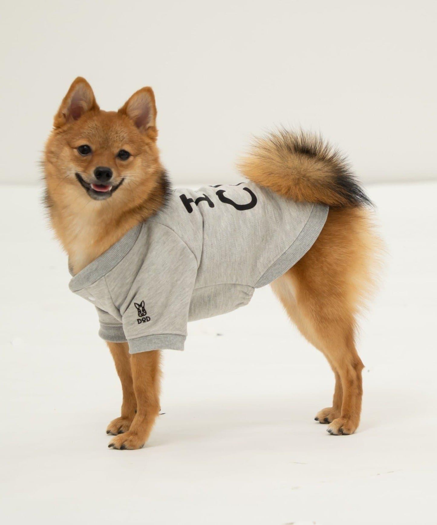 【DOD】【狗狗服飾】伊茲拉布