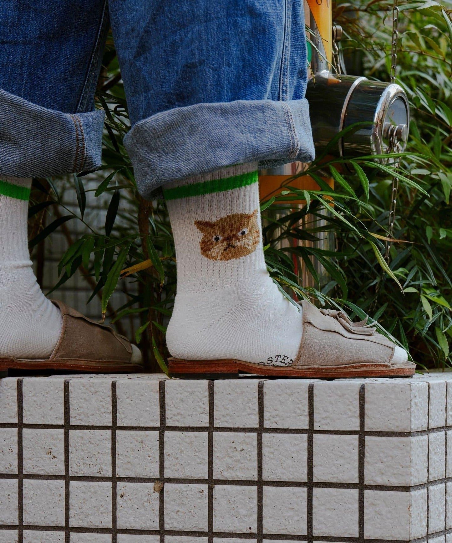 【ROSTER SOX】貓咪襪