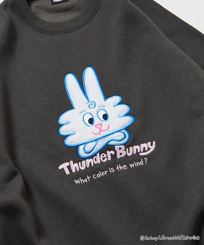 Thunder Bunny / 《Thunder Bunny》 / 特別款寬鬆版型毛圈繡圓領衛衣【限量】