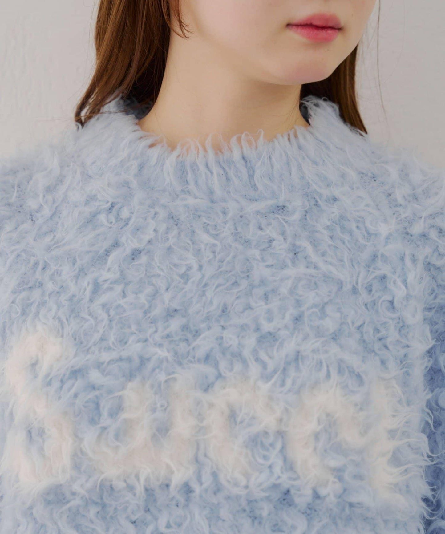 【RMAF】貴賓犬絨標誌套頭衫