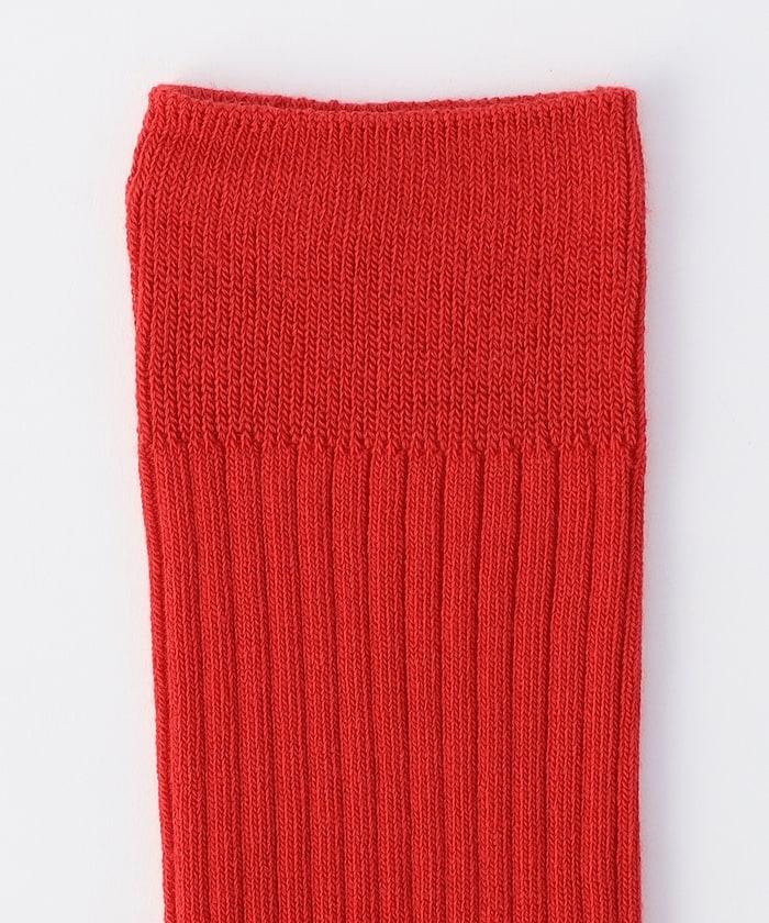 新款基礎款襪子