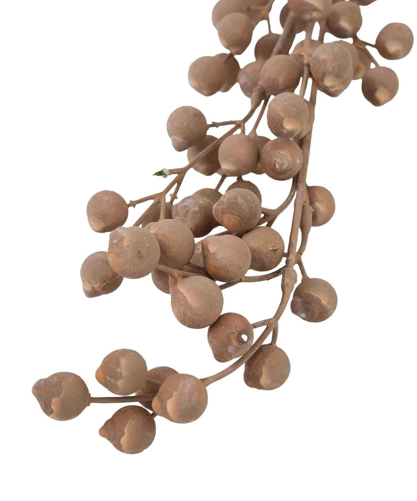 グレインブランチ