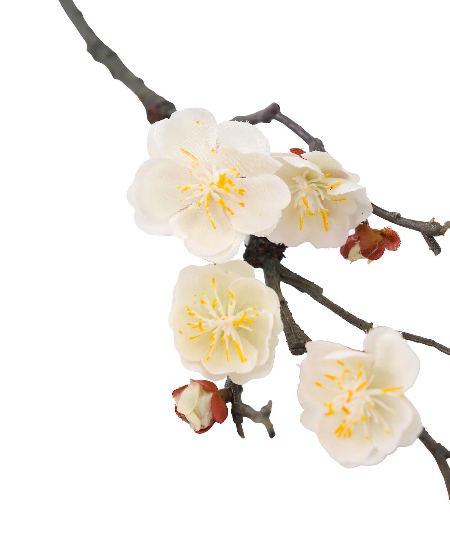 春日梅/正月のお飾り