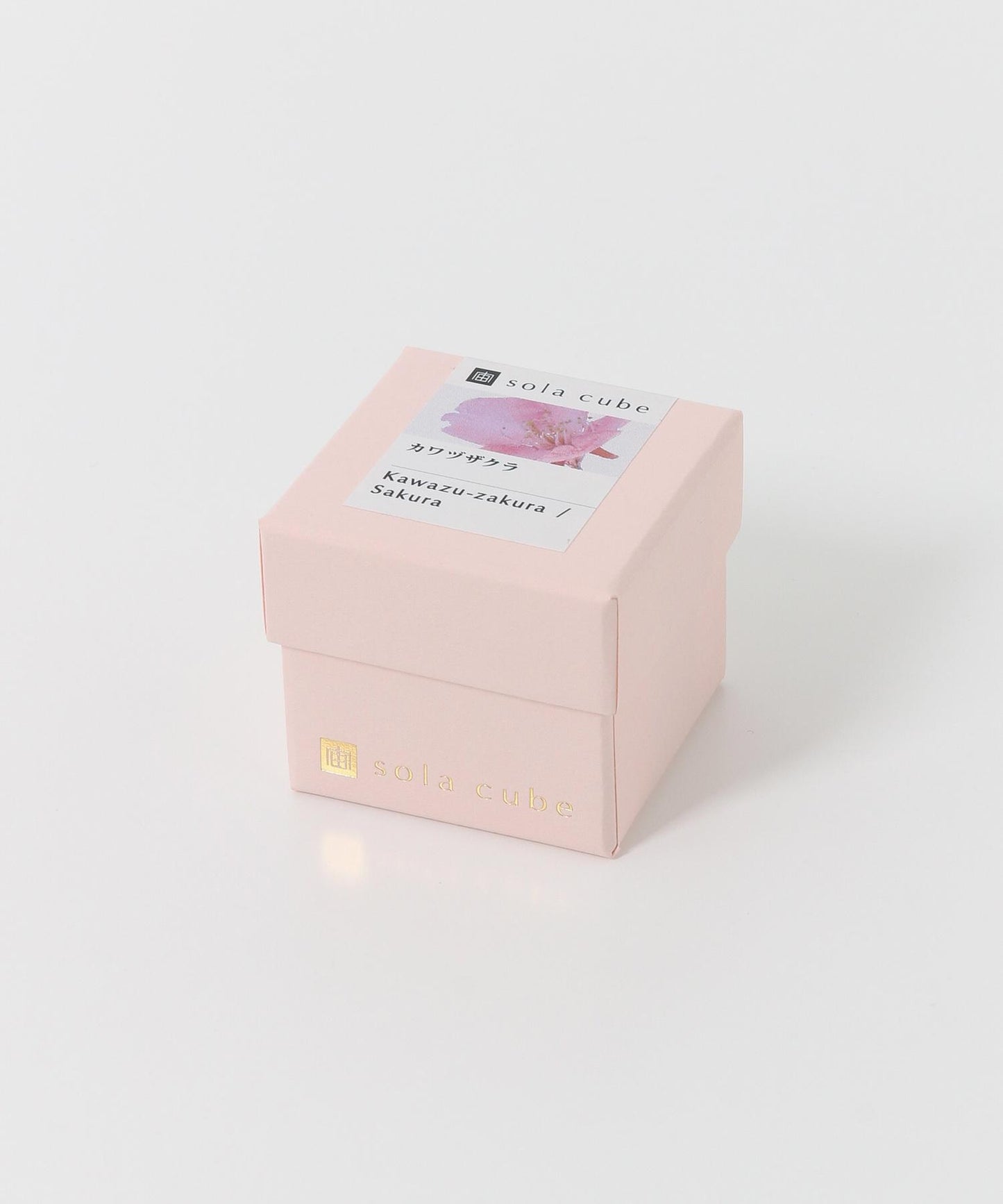 sola 河津櫻