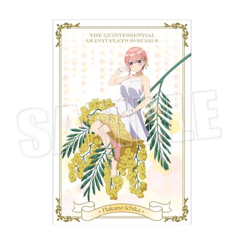 《五等分的新娘》 明信片套裝 Flower Fairy Ver.