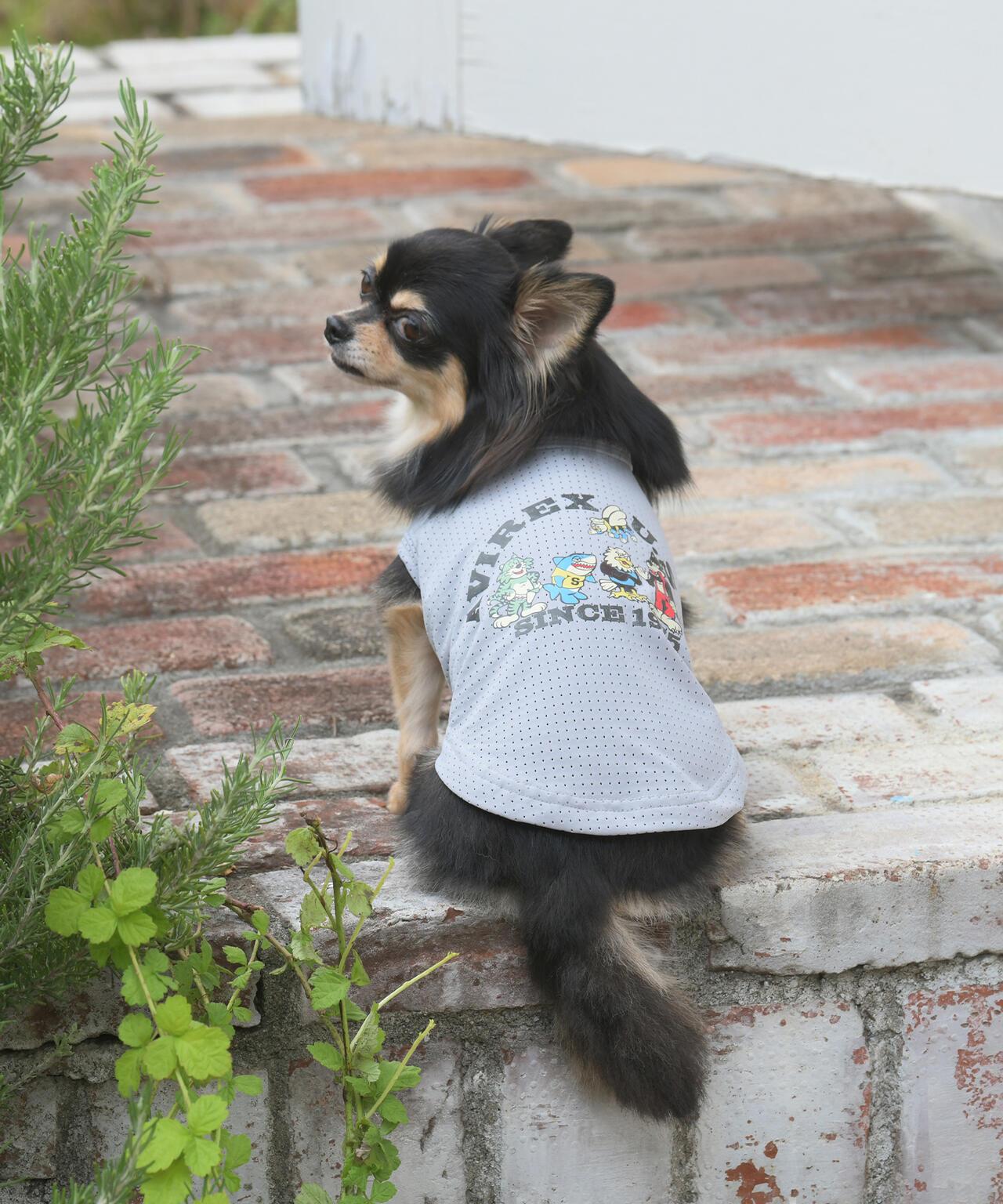《DOG WEAR》 水洗做舊 背心