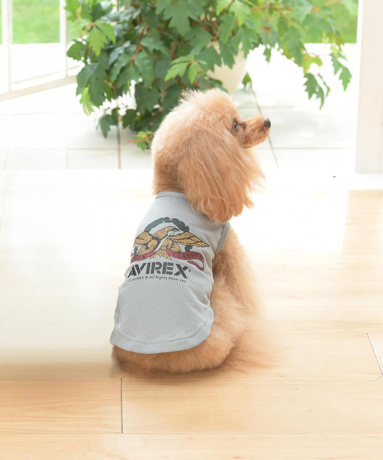 DOG WEAR 鷹圖案寵物背心