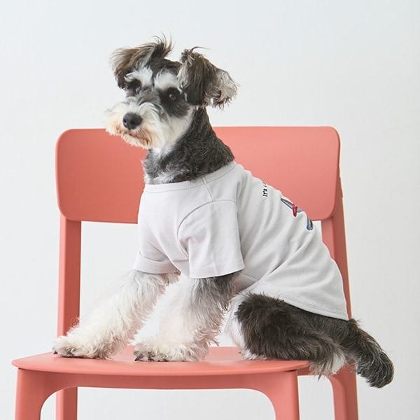 【リンク】【DOG】乗り物アップリケTシャツ