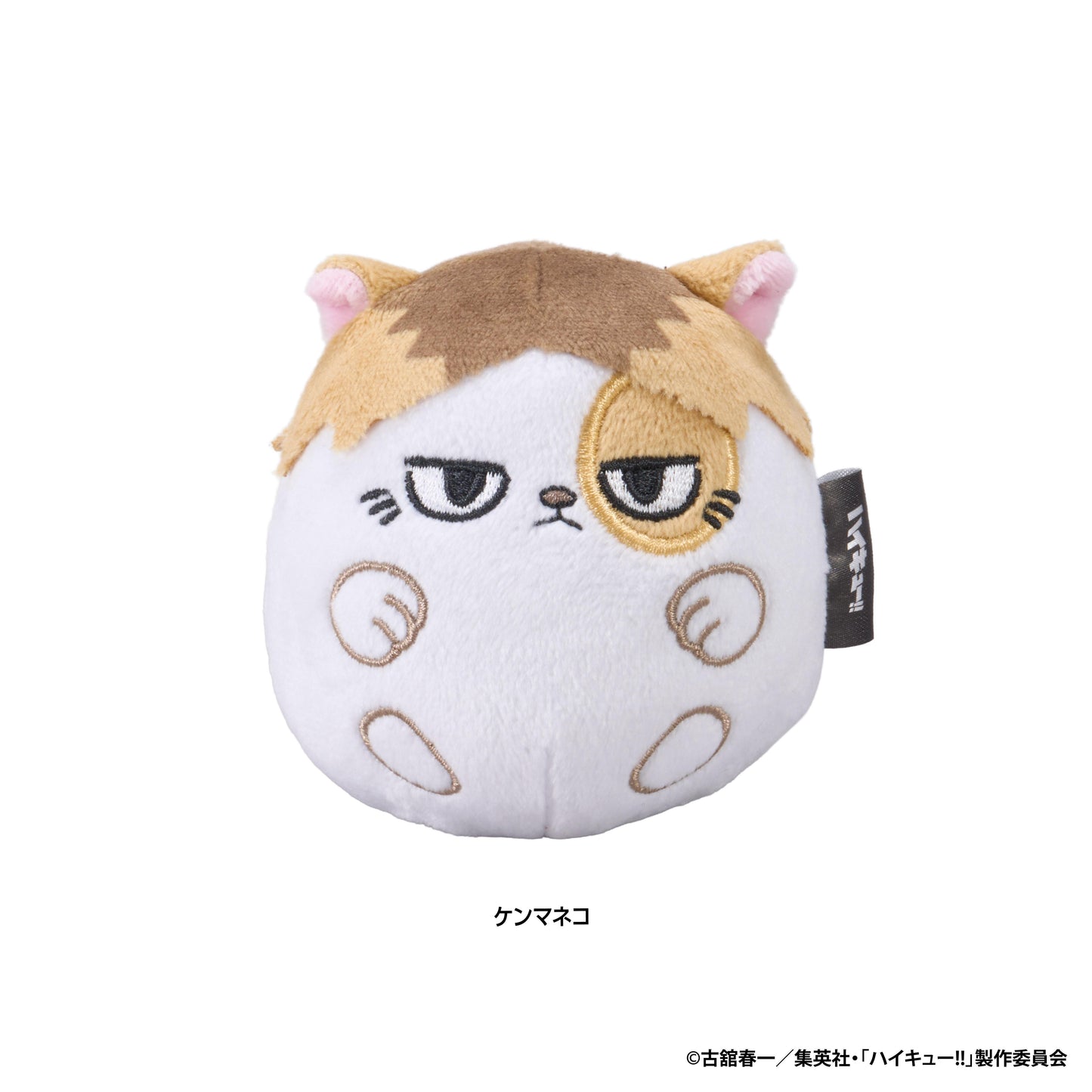 排球少年!!(排球少年) ぬいコロン(ケンマネコ)