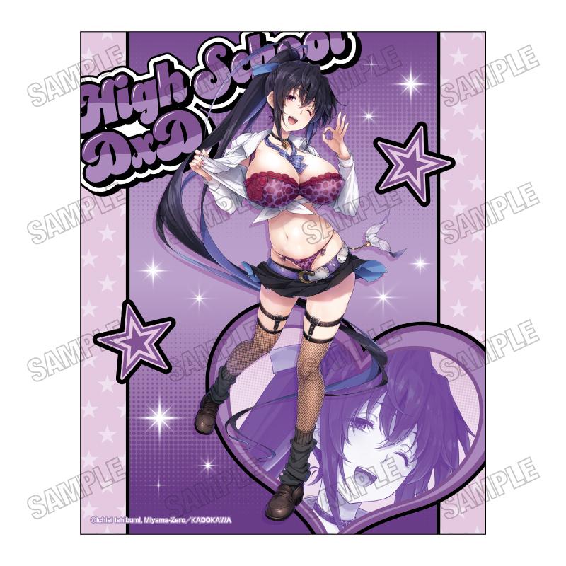 悪魔高校D×D(ハイスクールD×D) アメスク系列 描き下ろしキャンバスアート 第二彈 姫島朱乃