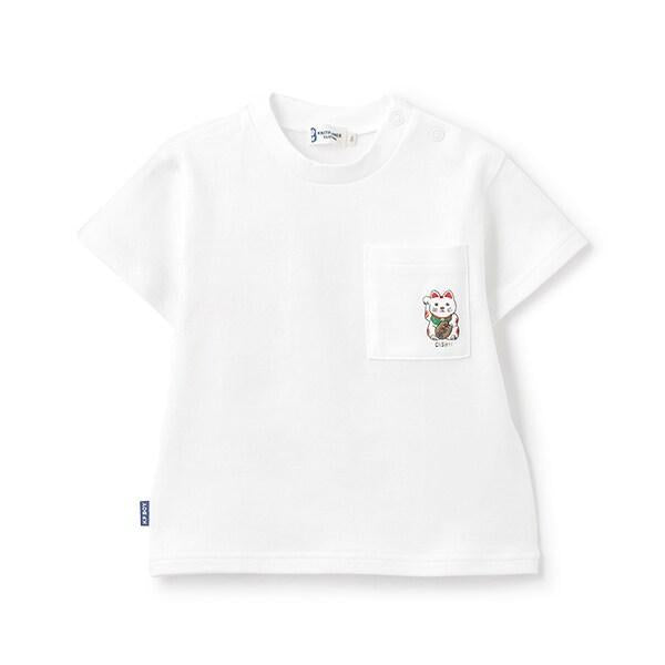 162914896