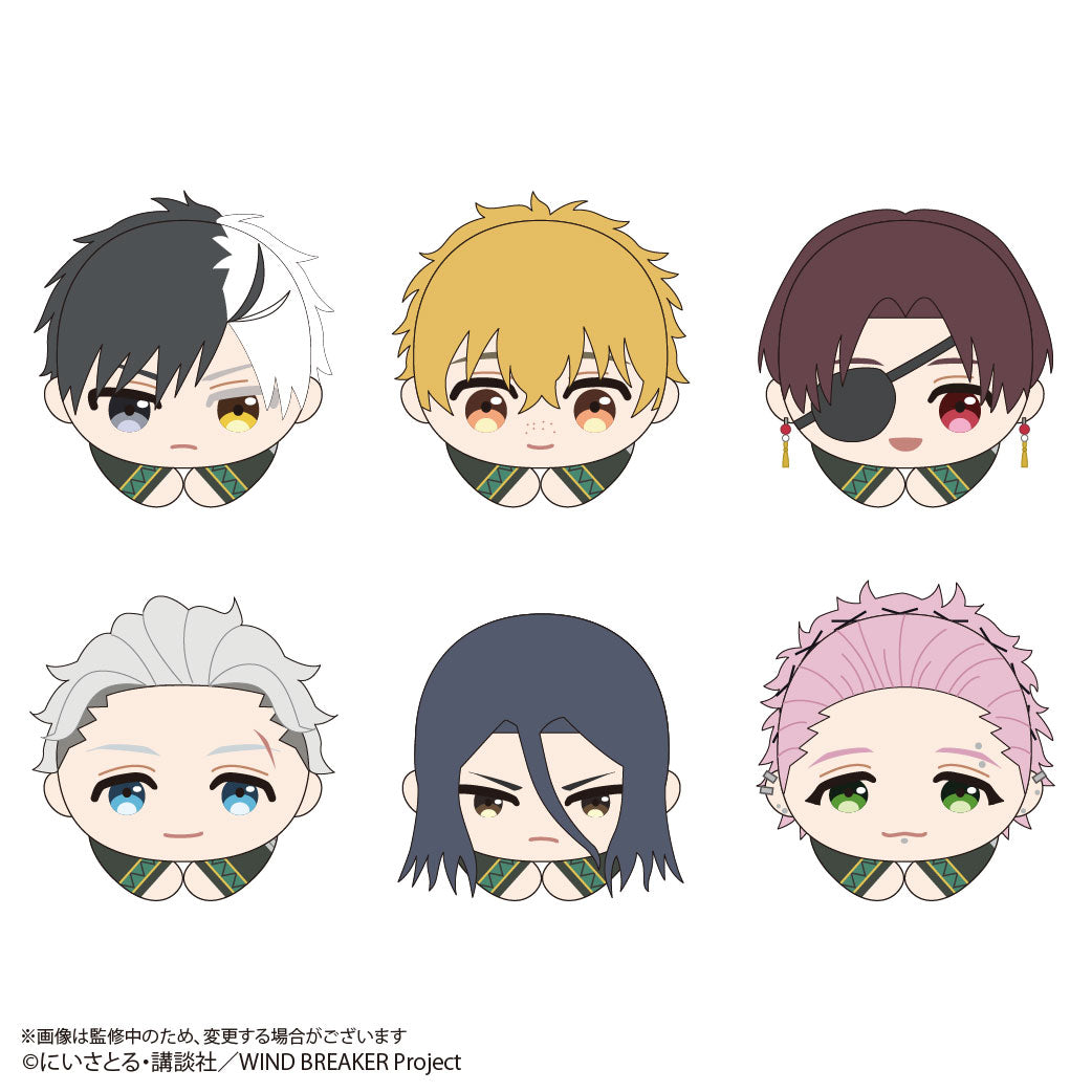 《防風少年》_WB-02 哈固角色收藏【整盒】