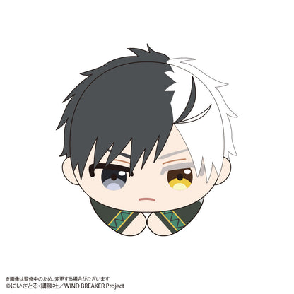 《防風少年》_WB-02 哈固角色收藏【整盒】