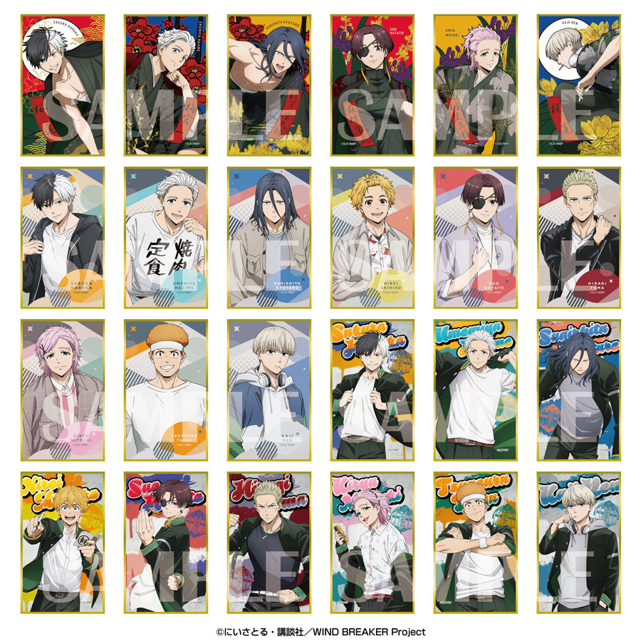 《防風少年》_華繪札色紙收藏【全套禮盒/ 12包裝入】