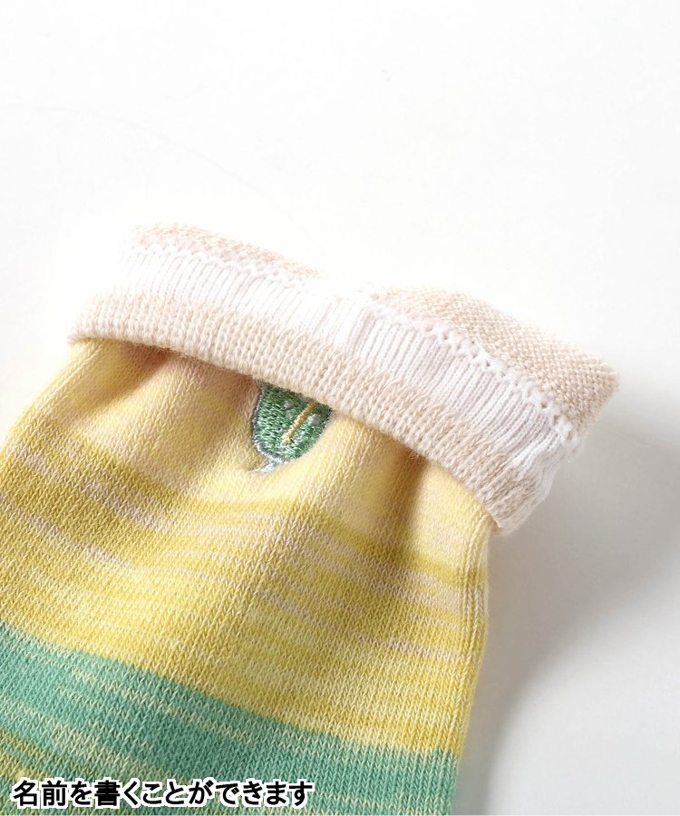 3件套 多樣款式 襪子