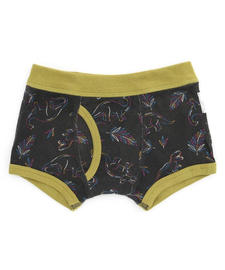 3件裝 男童4色2款盒裝內褲恐龍・自行車