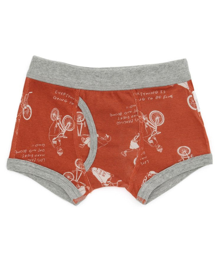 3件裝 男童4色2款盒裝內褲恐龍・自行車