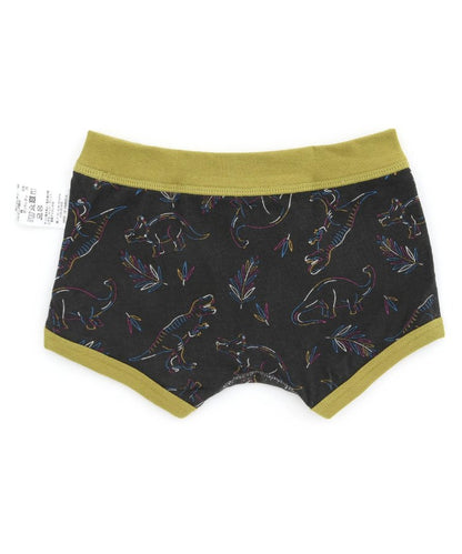 3件裝 男童4色2款盒裝內褲恐龍・自行車