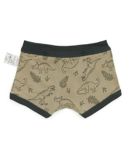 3件裝 男童4色2款盒裝內褲恐龍・自行車