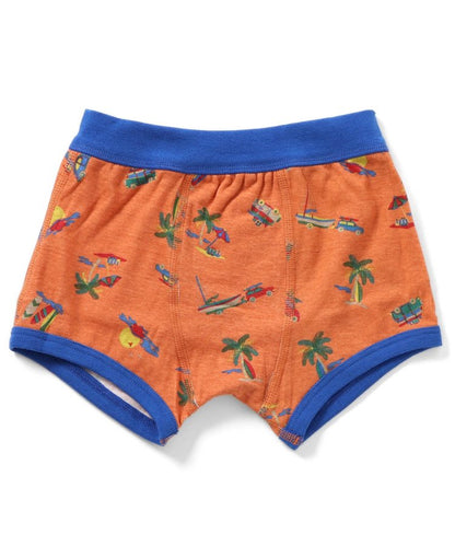 3件套 多樣款男士內褲B