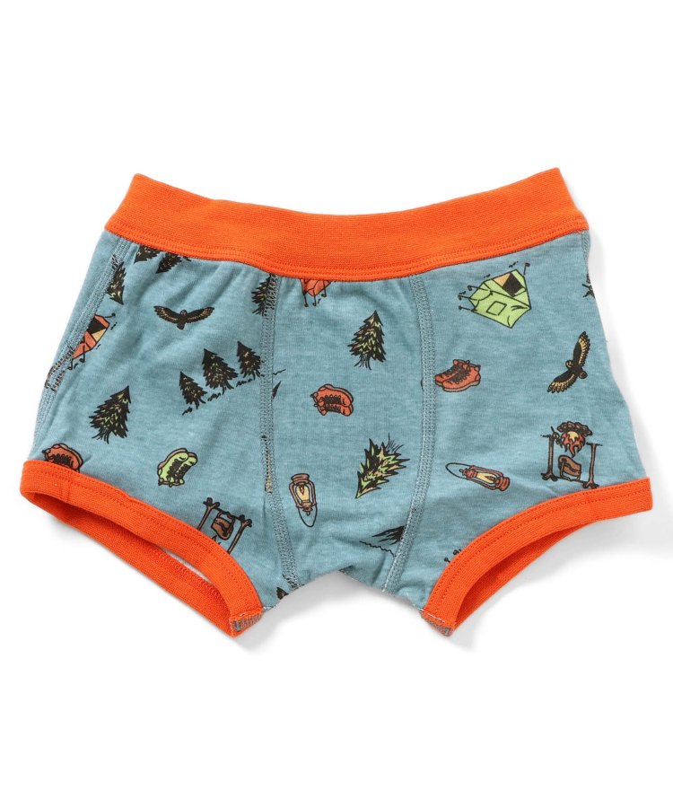 3件套 多樣款男士內褲B