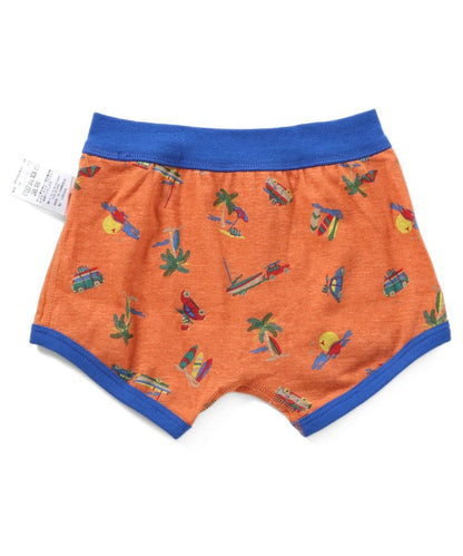 3件套 多樣款男士內褲B