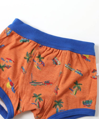 3件套 多樣款男士內褲B