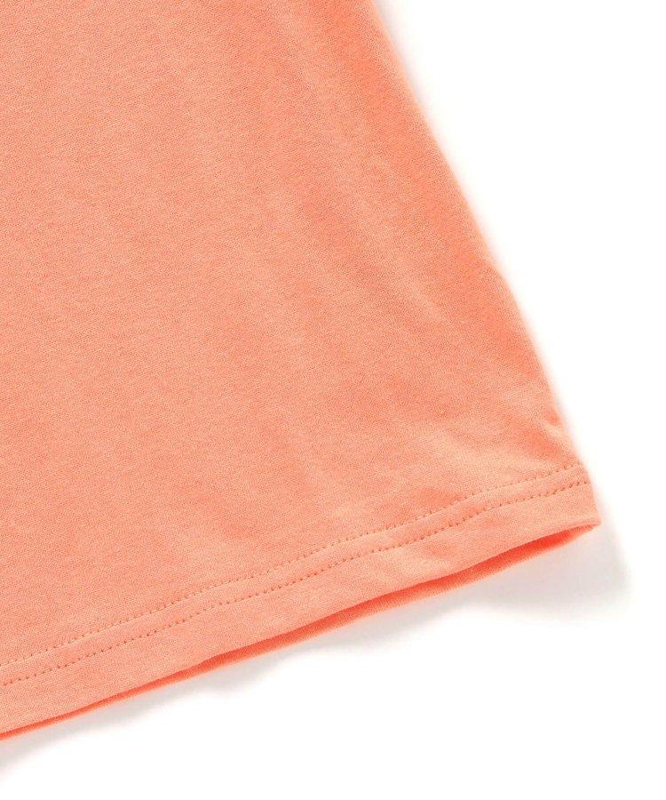 3款6色標誌印花T恤