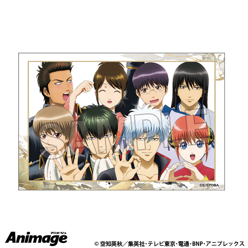 《銀魂》積木積木積木 11