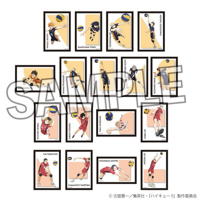 《排球少年》_球員畫報 vol.3 月島 螢