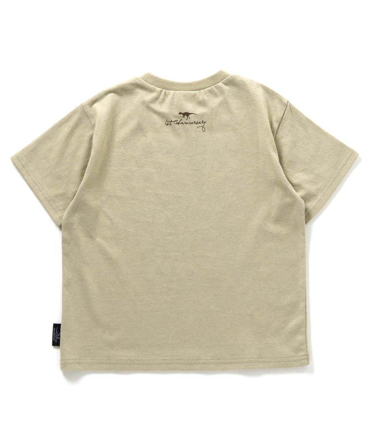 福井縣立恐龍博物館聯名紀念T恤兒童