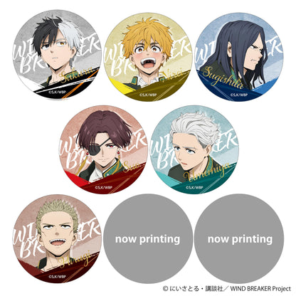 《防風少年》_圈卡收藏 【包裝盒/5包裝】