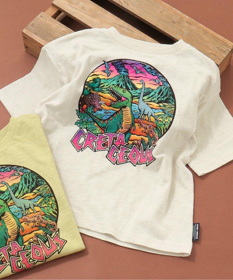 福井縣立恐龍博物館聯名白堊紀恐龍T恤